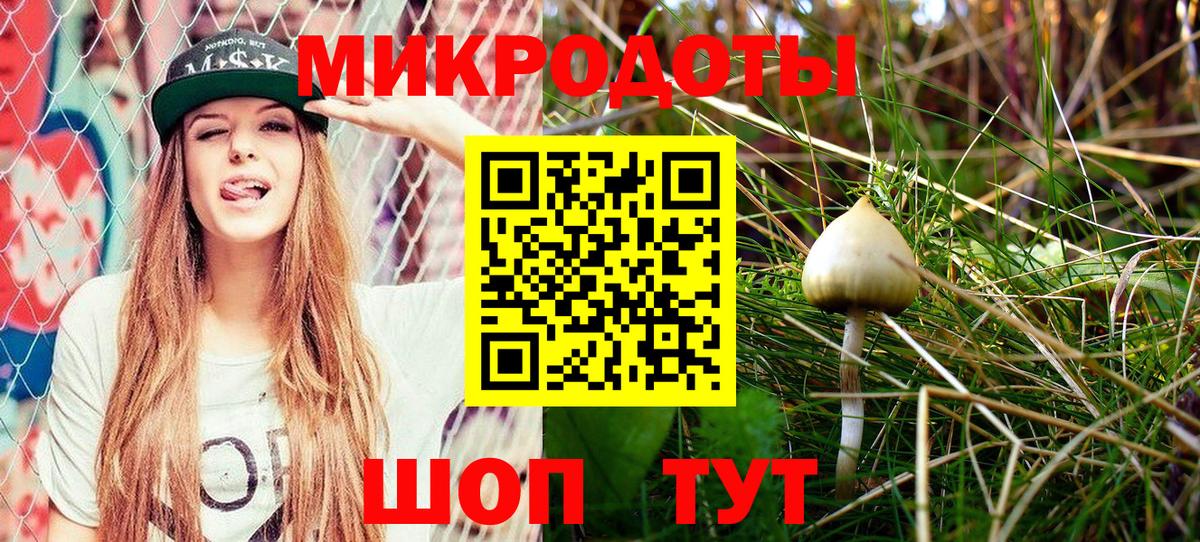 Соль-Илецк  Галлюциногенные грибы GOLDEN TEACHER  Вход с VPN 
